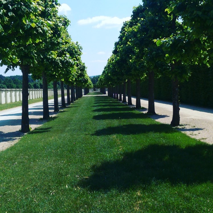 IMG_20170602_124628_777