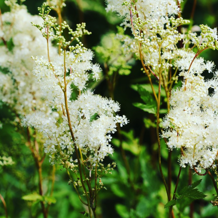 IMG_20170715_172129_610