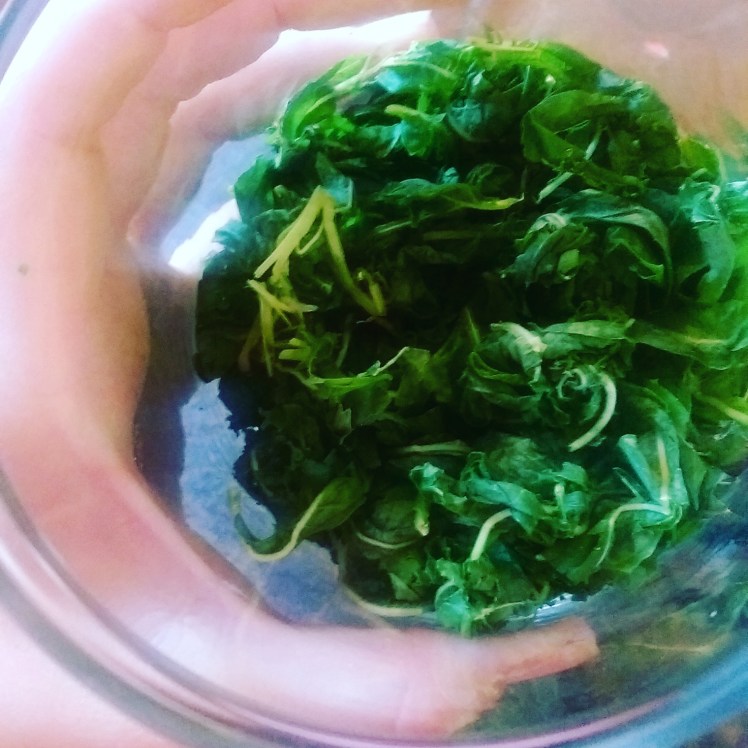 IMG_20170716_193041_851