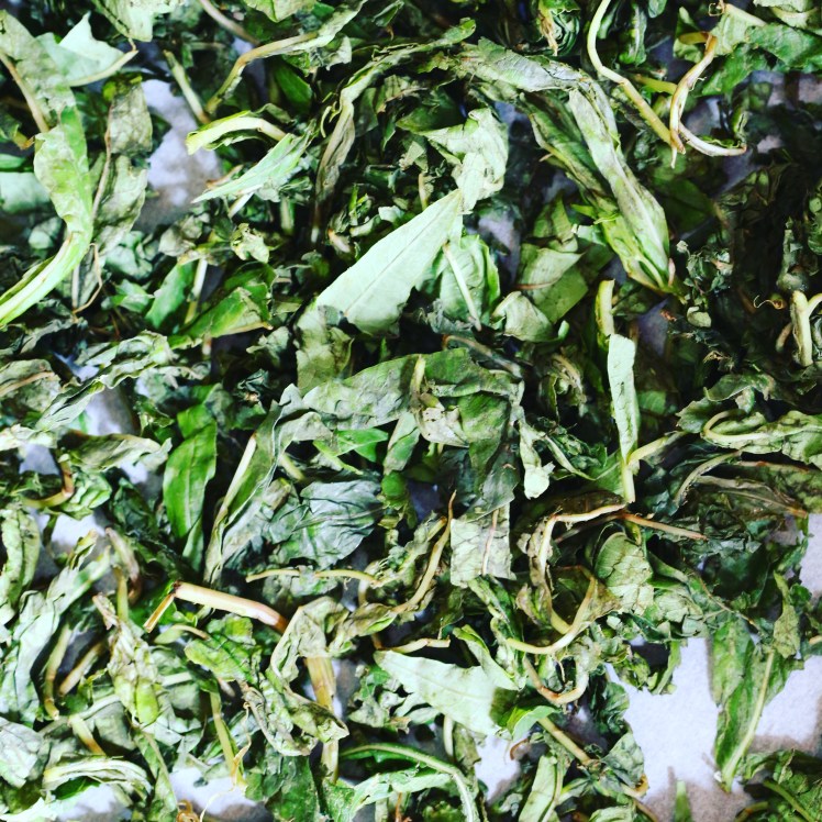 IMG_20170716_193152_460-1