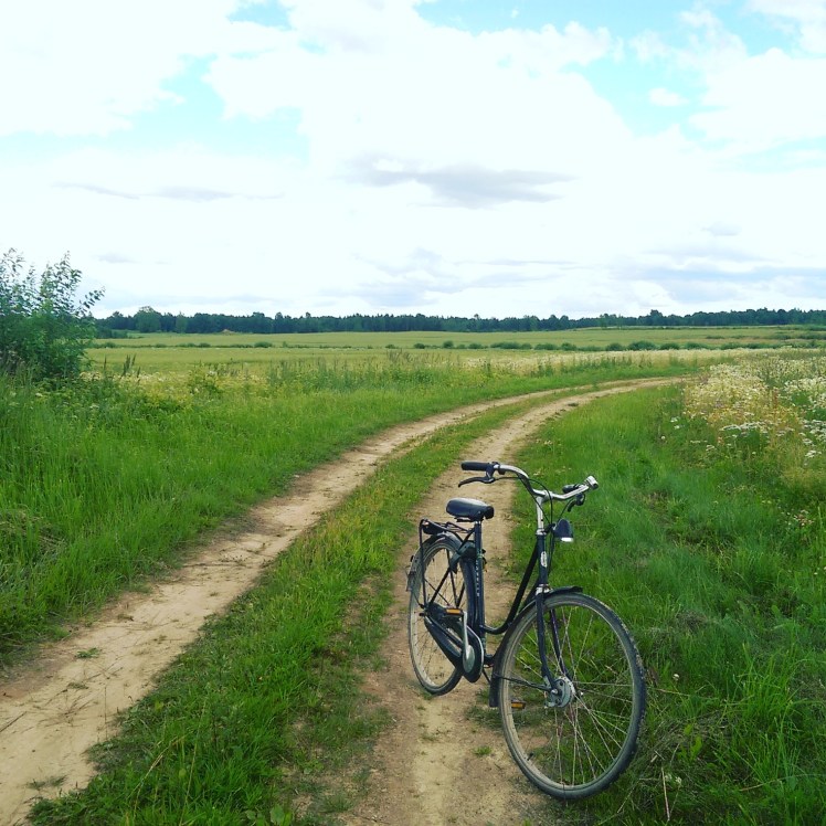 IMG_20170722_193432_970