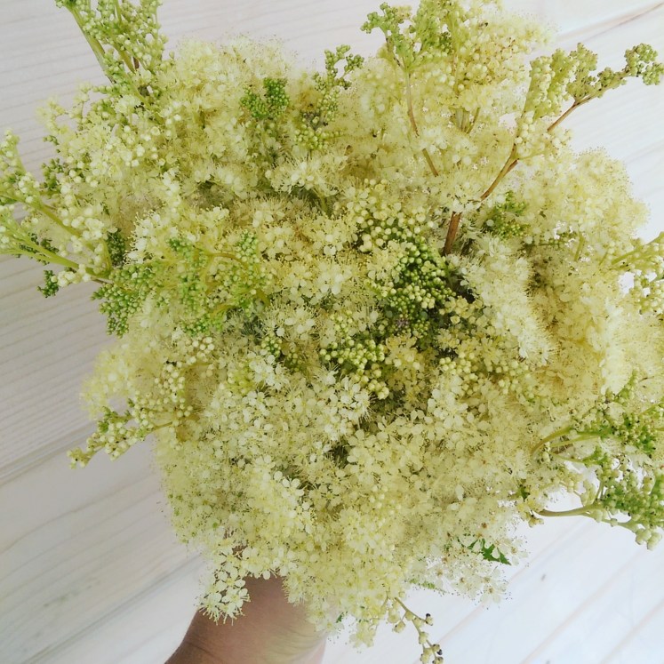 IMG_20170724_184149_742