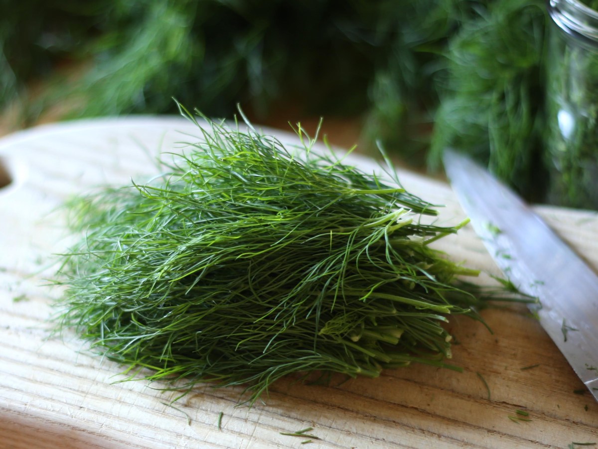 I’m Latvian—Of Course There’s&nbsp;Dill