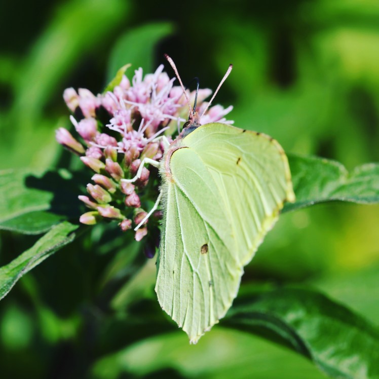 IMG_20170814_155439_808