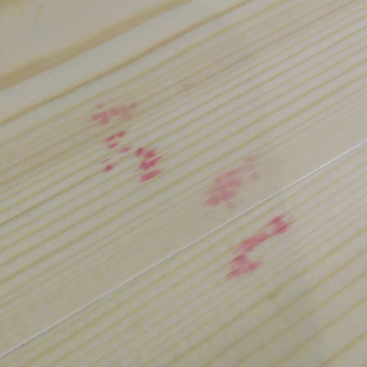 IMG_20170828_135142_150