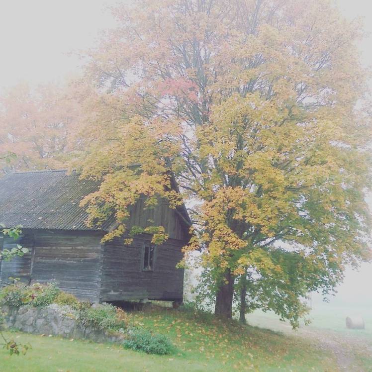 29869116102_38a08abde8_o