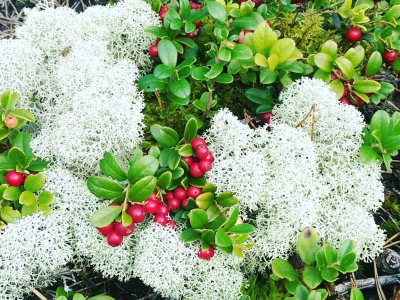 Why are you following my&nbsp;blog?