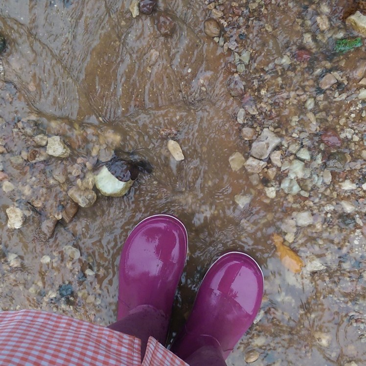 IMG_20170918_104518_266