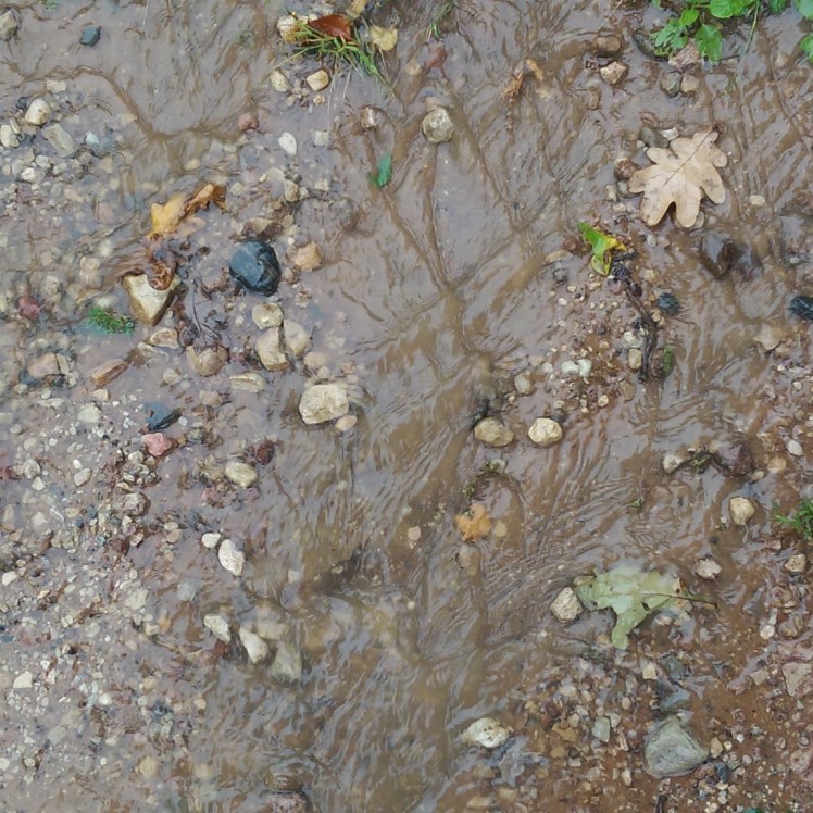 IMG_20170918_104532_829