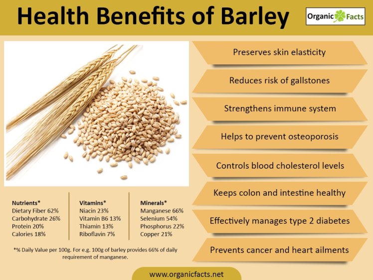 barleyinfographic.jpg