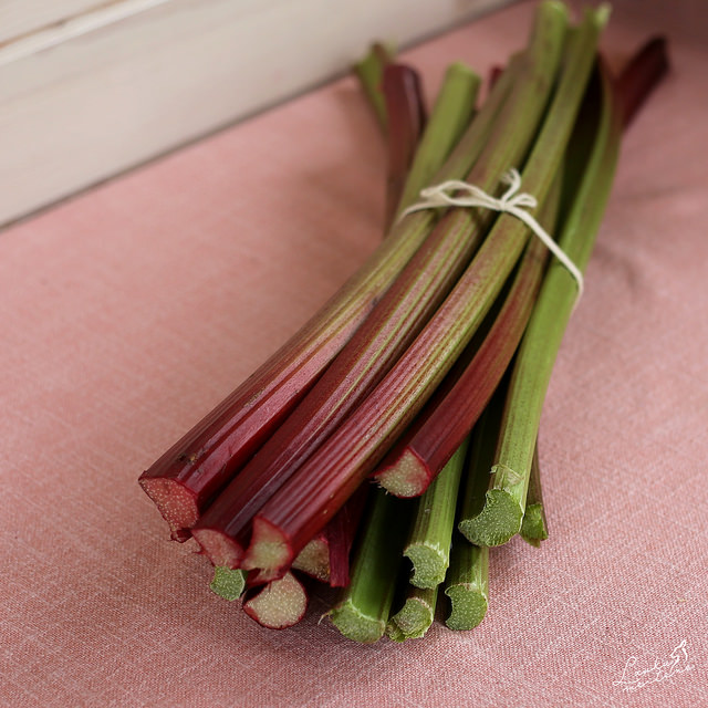 RHUBARB 2016.jpg