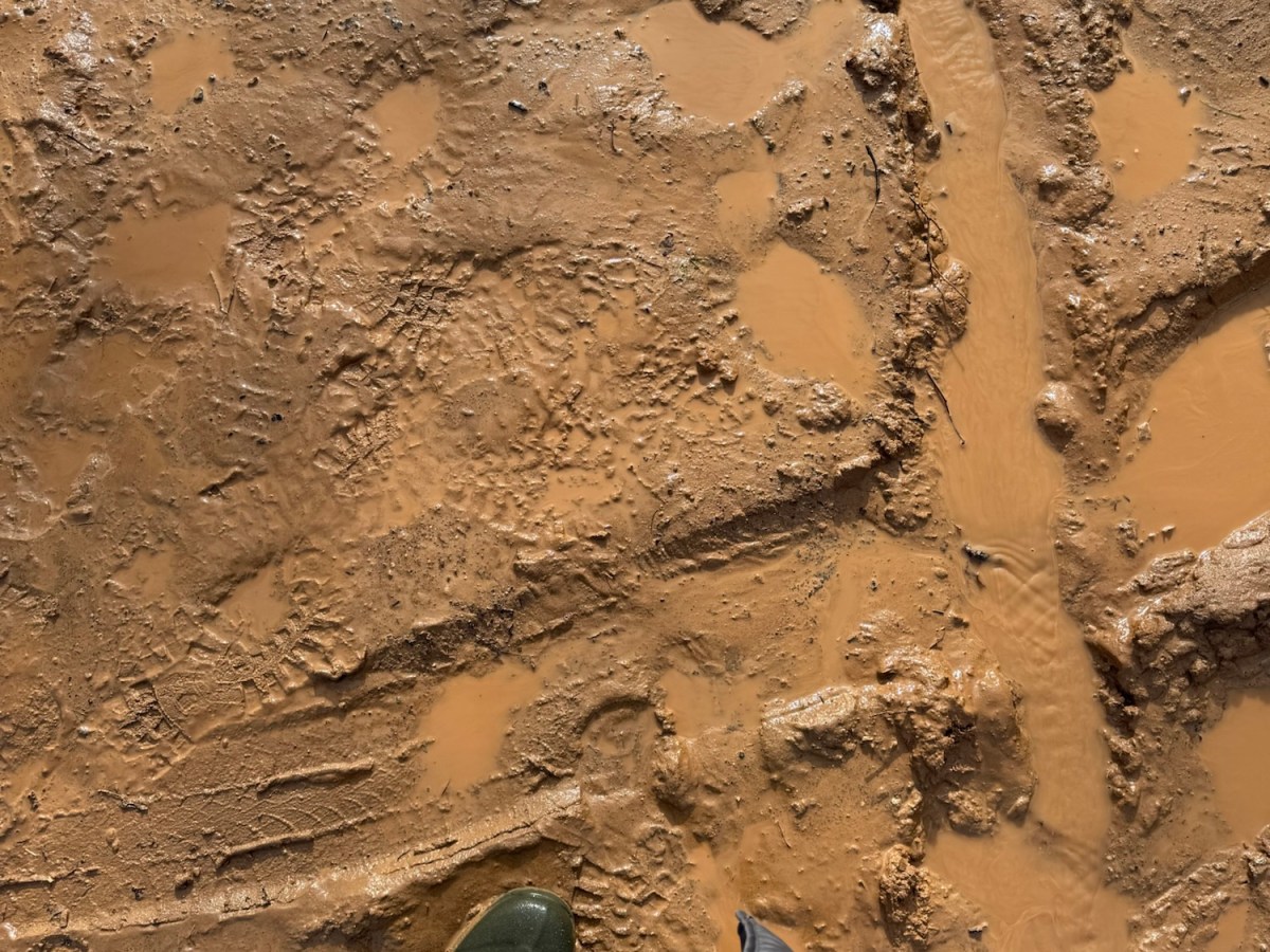 Shaking Off the Winter&nbsp;Blues