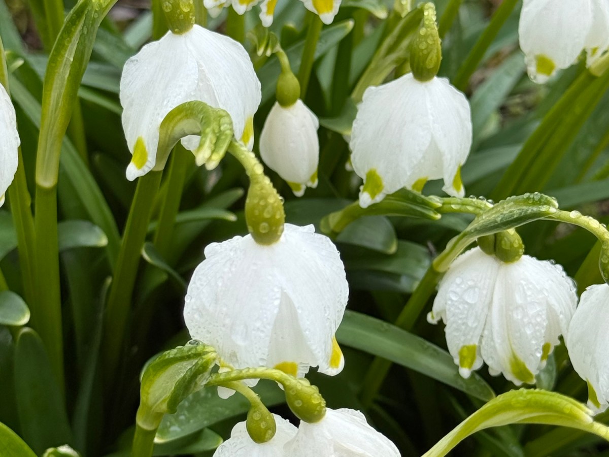 🌱 Ostara, Day & Night, and&nbsp;more