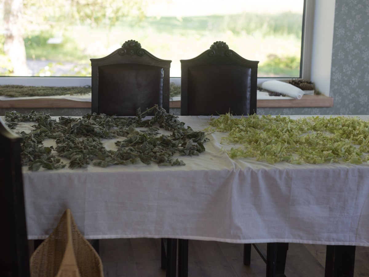 The Table That&nbsp;Remembers