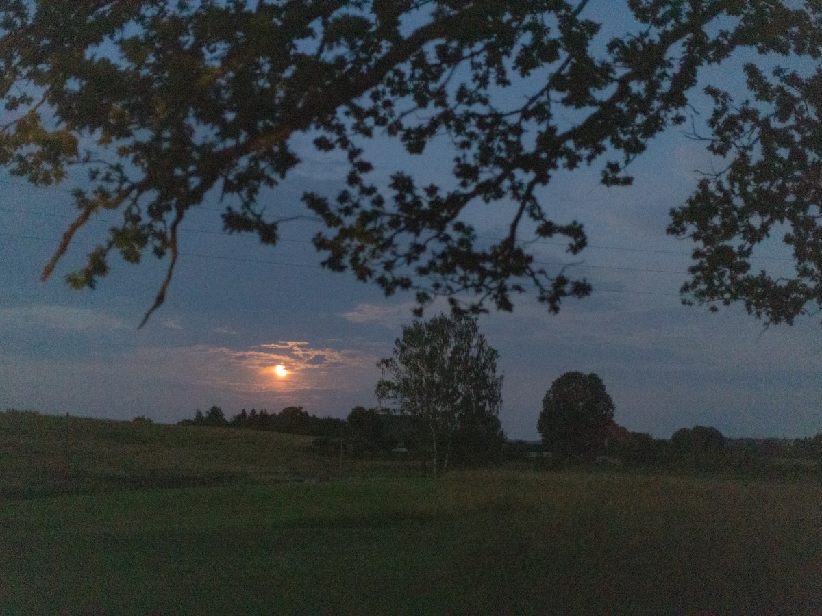 Moonlight: Snooze & missed&nbsp;Zoom