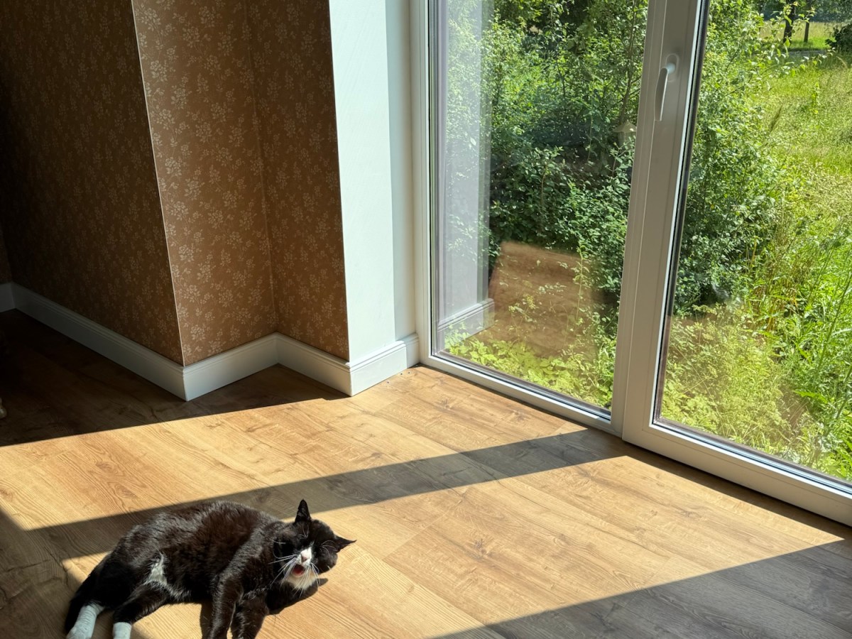 What We Achieved in&nbsp;July