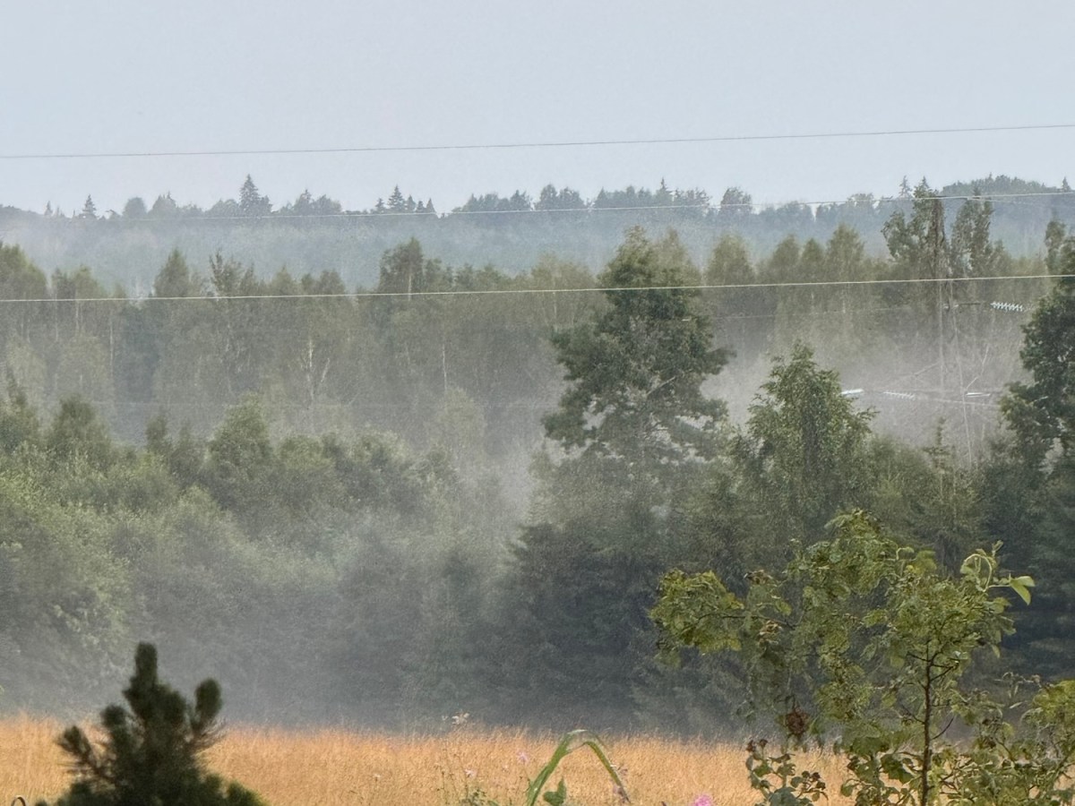 The Last Week Before&nbsp;Vacation