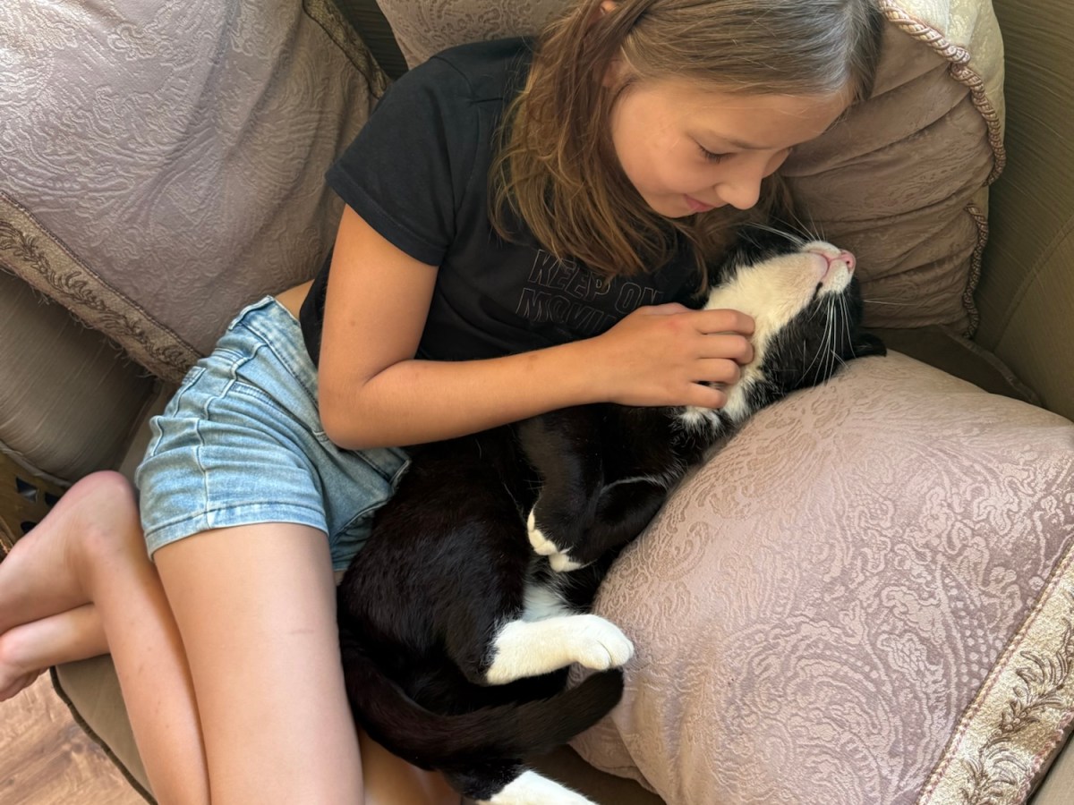 Today is Helmī’s 10th&nbsp;Birthday!