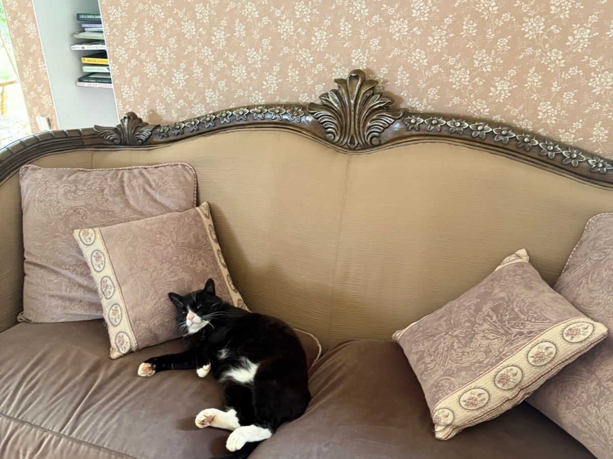 Vacation Day 5: Clean Sofa & Sewing&nbsp;Plans