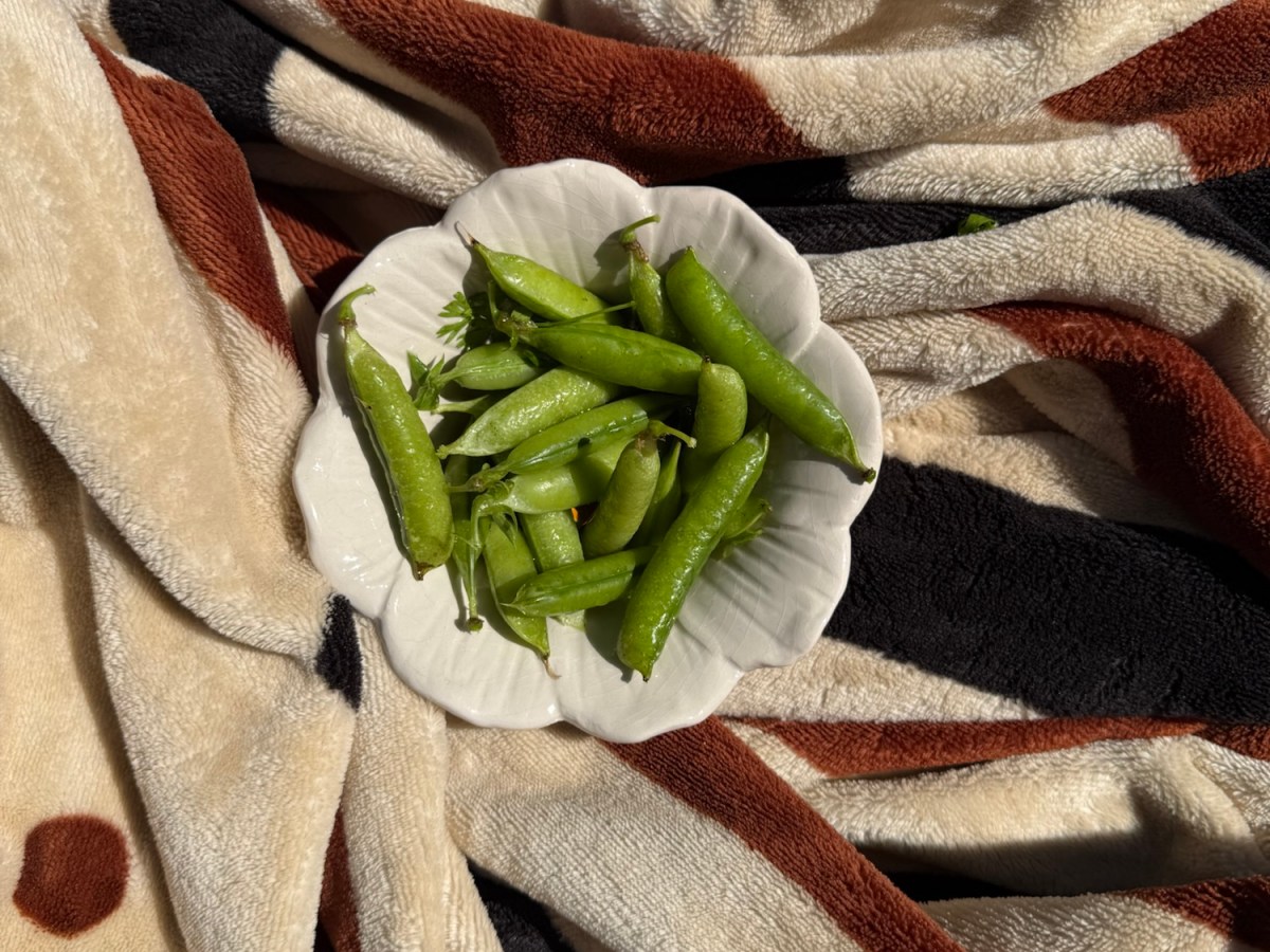 Vacation Day 9: Lazy&nbsp;Day