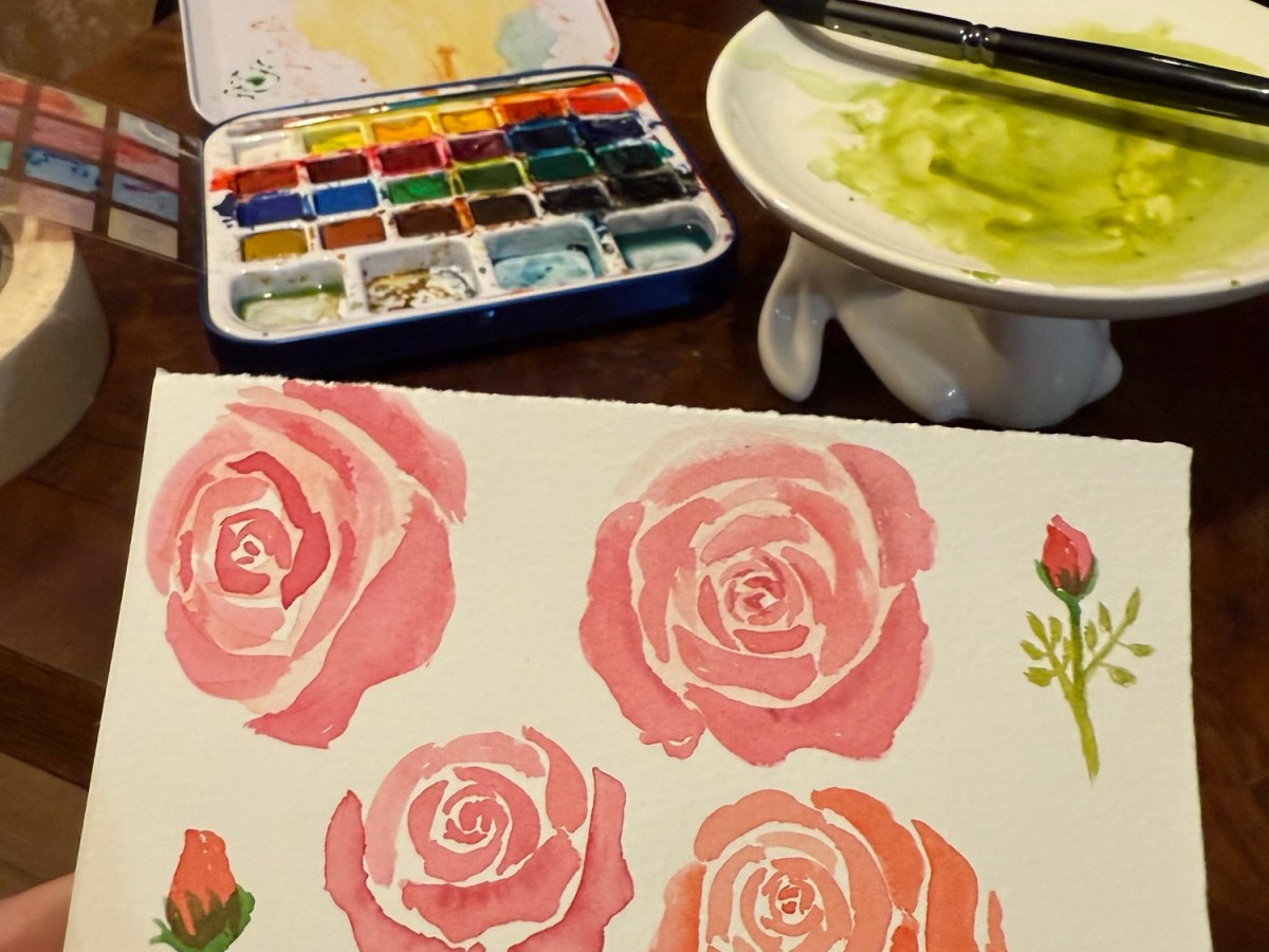 Vacation Day 10: Fields, Salads, and Starry&nbsp;Skies