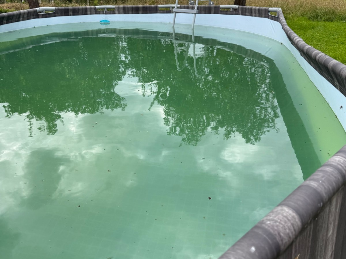 Vacation Day 19 – Hay, Zucchini, and a Busy&nbsp;Yard