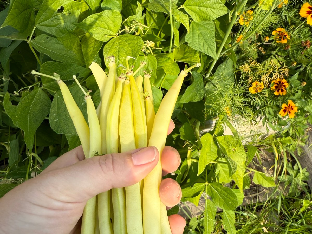 Vacation Day 20 – Soup, Rain, and a Little&nbsp;Treasure