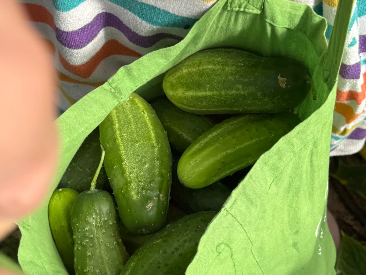 Vacation Day 21 – A Wet, Autumn-Like&nbsp;Evening