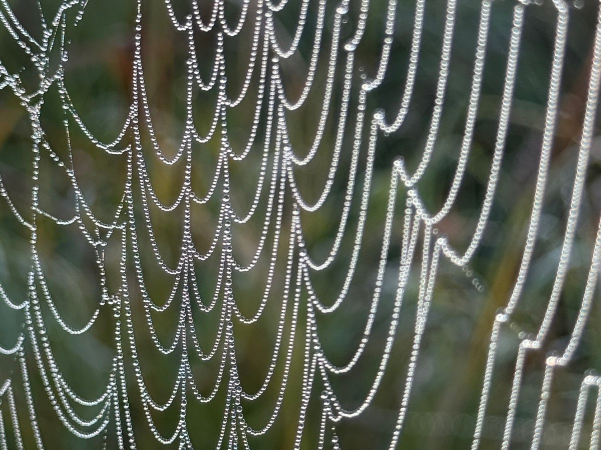 Vacation Day 27 – Sunshine and&nbsp;Sewing