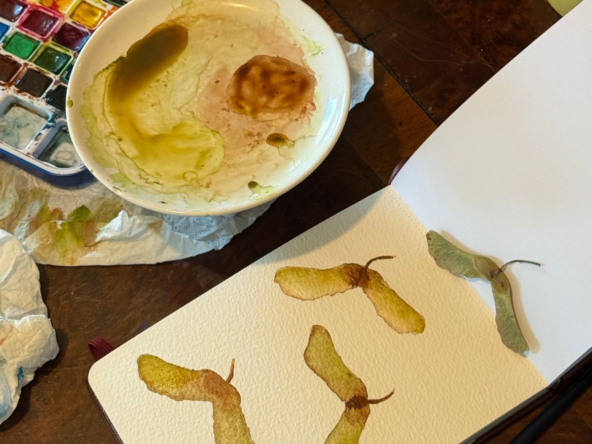 Vacation Day 28 – Morning Walk, Watercolors, and&nbsp;Foraging