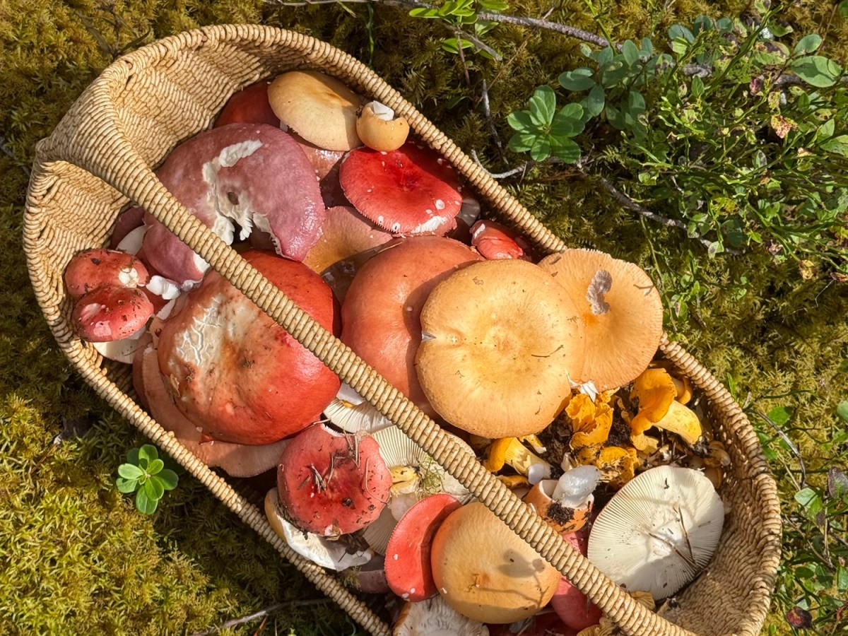 A Heartfelt Thank You&nbsp;💛