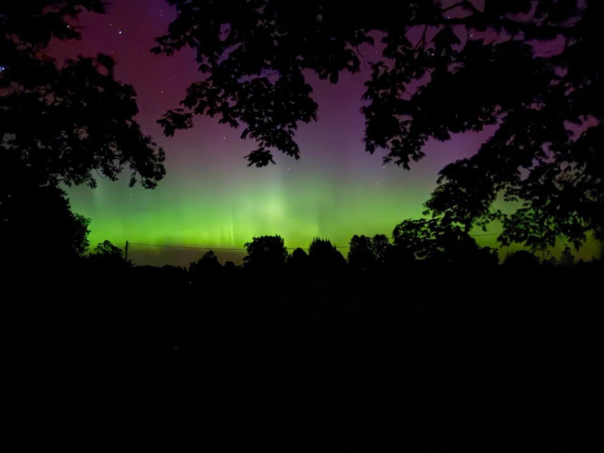 Woken Up by&nbsp;Magic