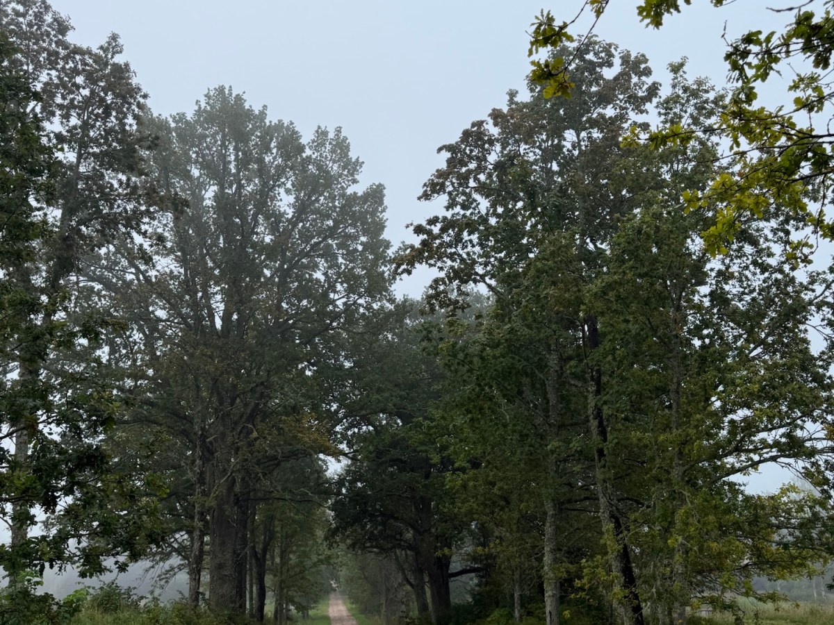 I Threw My Back&nbsp;Out…