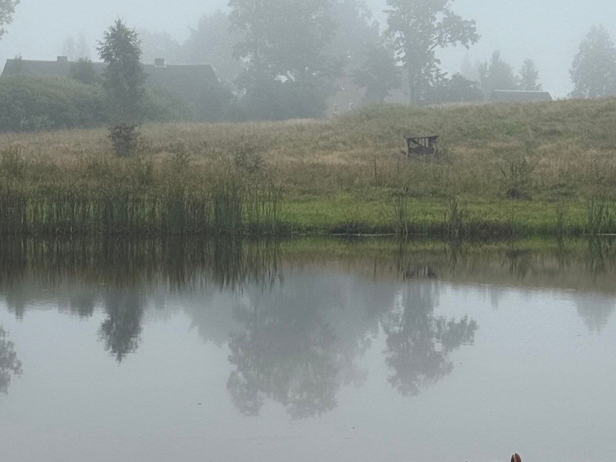 A Foggy Morning&nbsp;Surprise