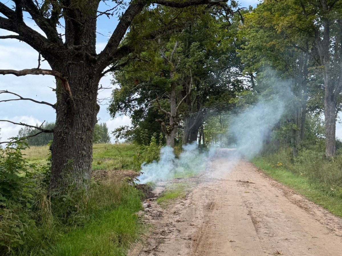 A Hot September Day and Pizza&nbsp;Night