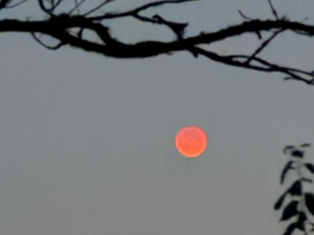 For Every Creator Whose Work Has Been Stolen — I’m&nbsp;Sorry