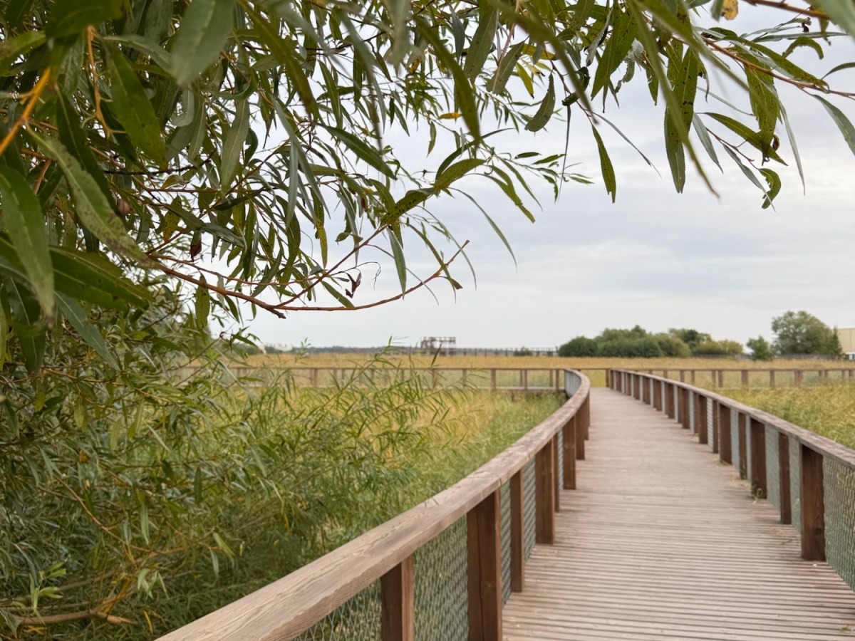 A Walk in&nbsp;Pärnu