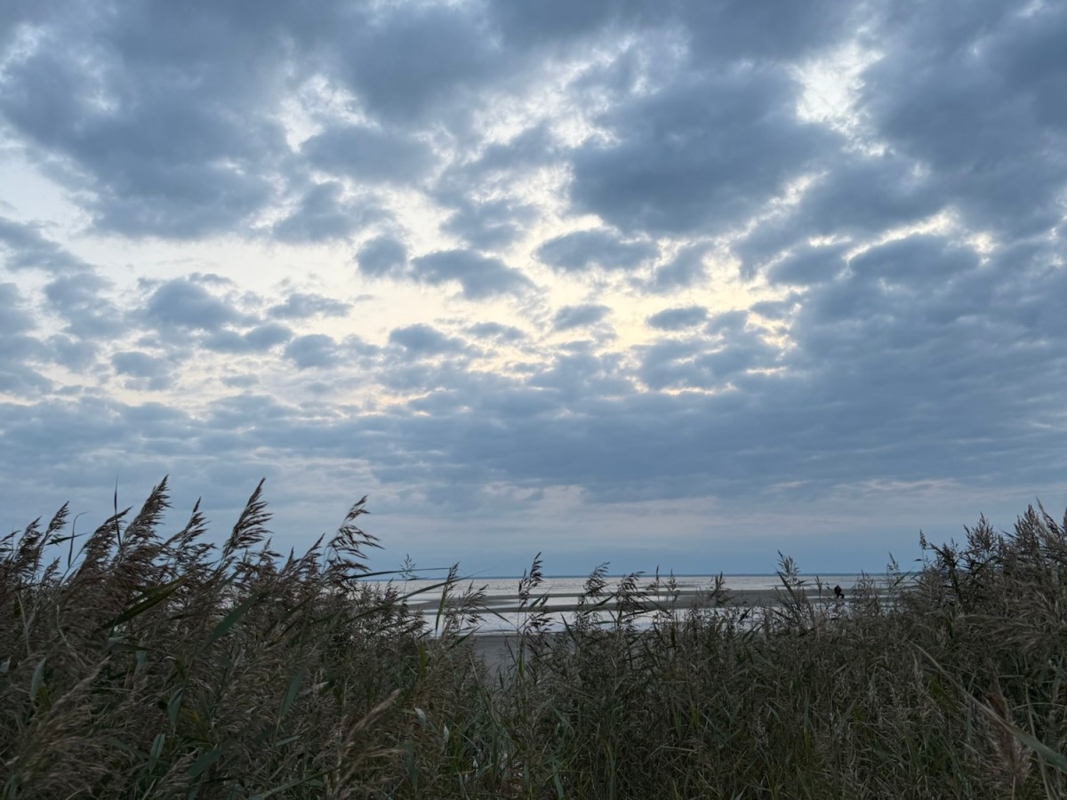 When Someone Links to Your Blog Without&nbsp;Permission