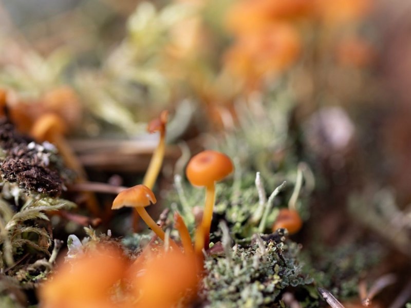 Looking for Hosting&nbsp;Advice