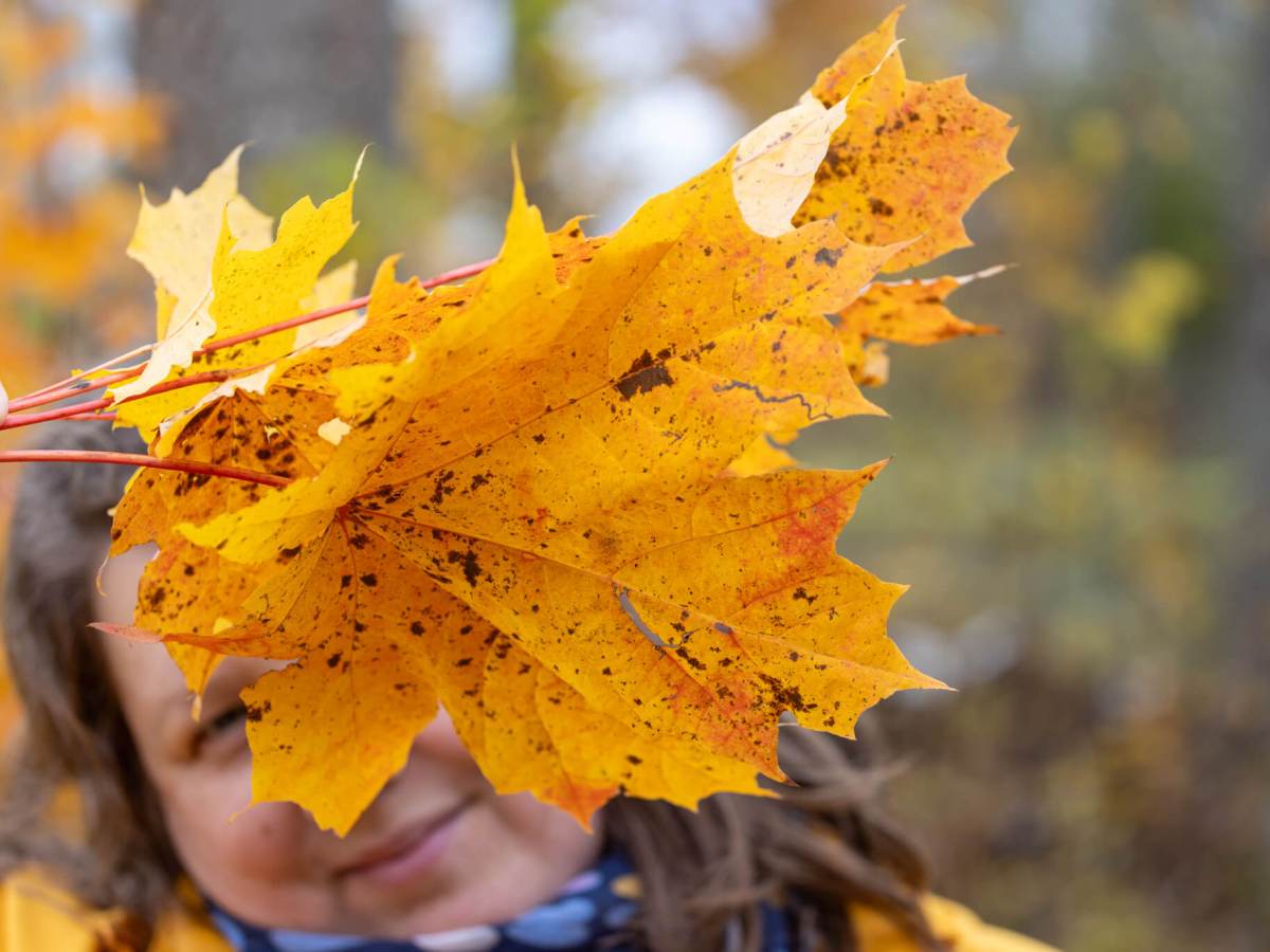 About me in&nbsp;October