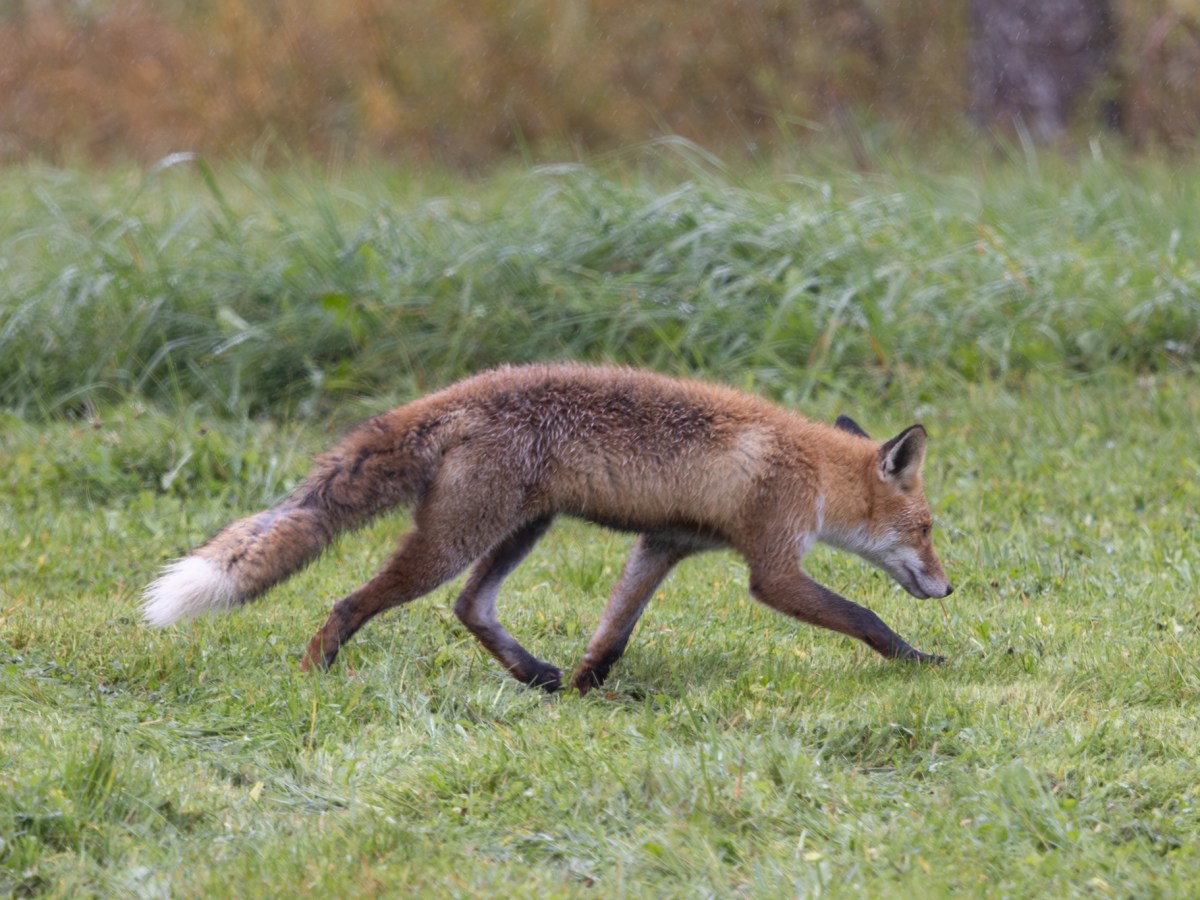 Between the Clock Change and the&nbsp;Xray