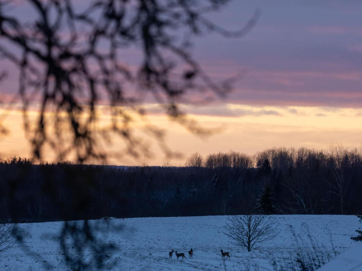 Snow Is Here — At Least for&nbsp;Today