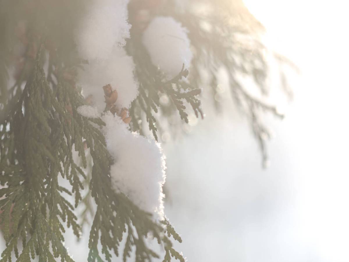 Somewhere Between Sick and&nbsp;Fine