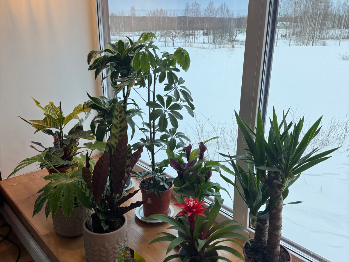 Some news to share&nbsp;🌱