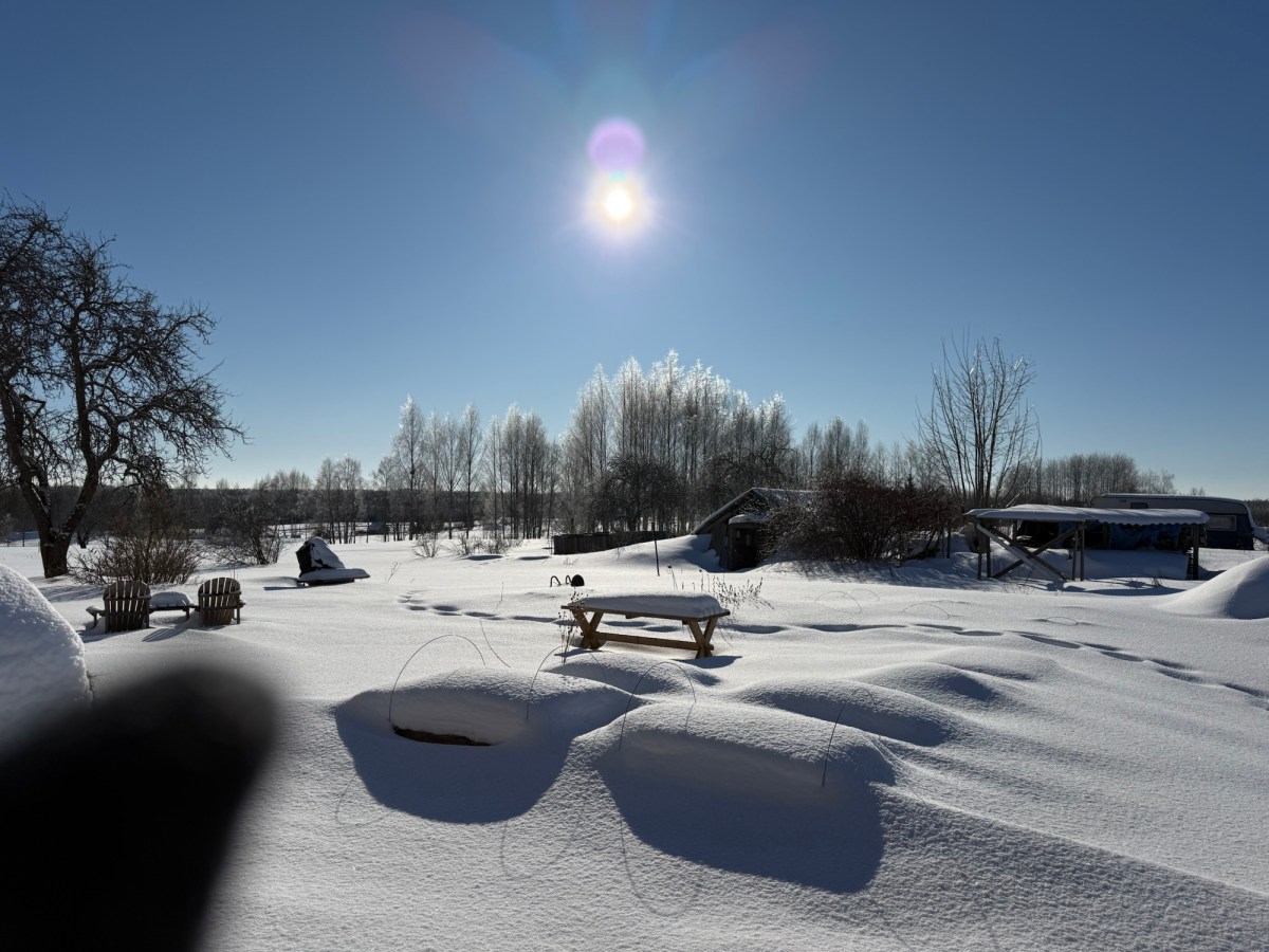 Is Spring on Its&nbsp;Way?