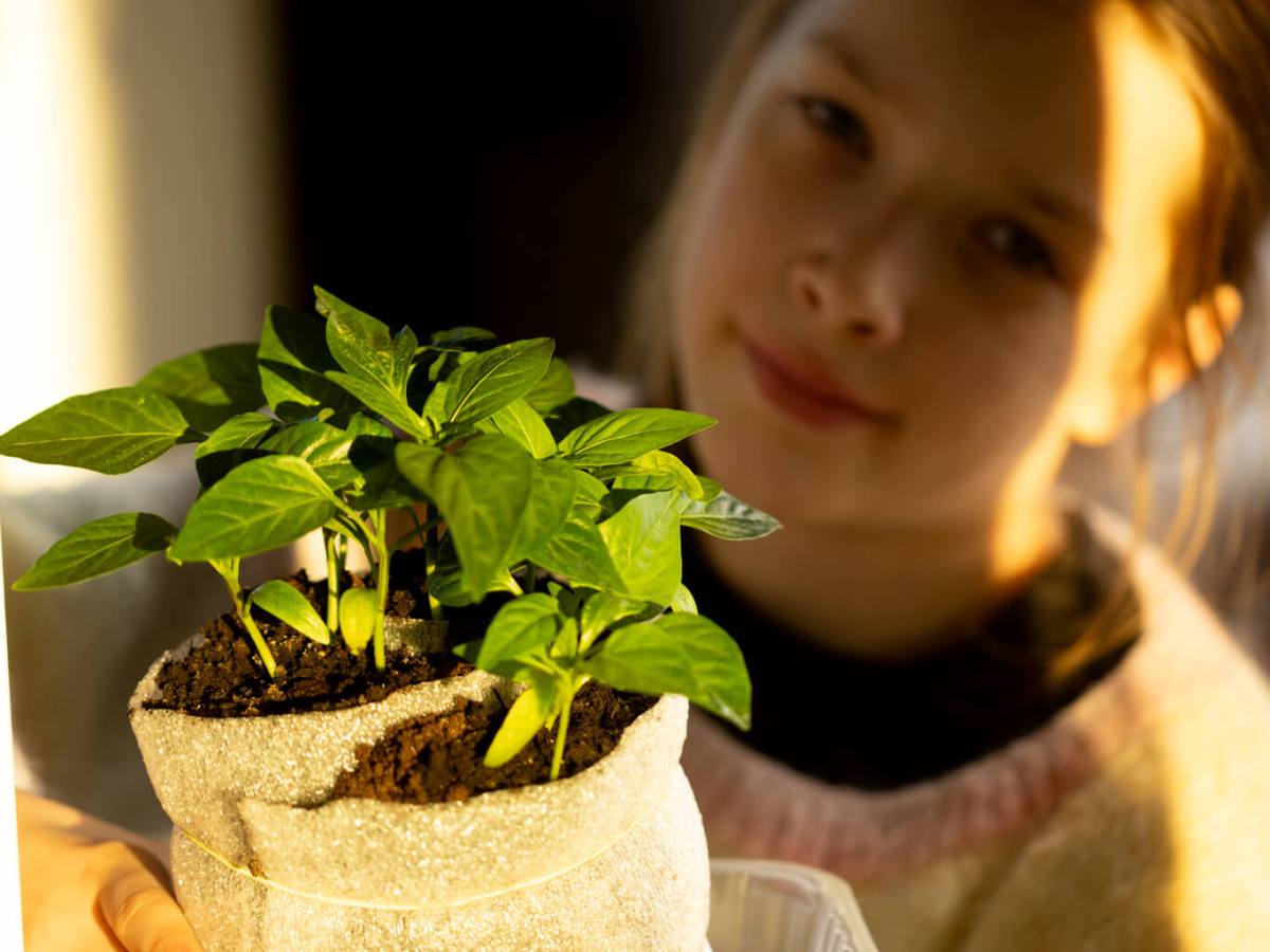 February Seeds: Some Sprouted, Some&nbsp;Didn’t
