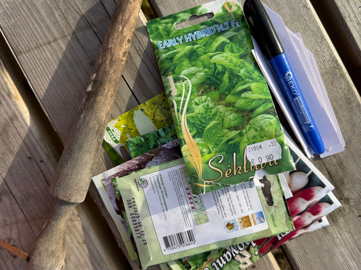 Surviving the Weekend, Starting the&nbsp;Garden