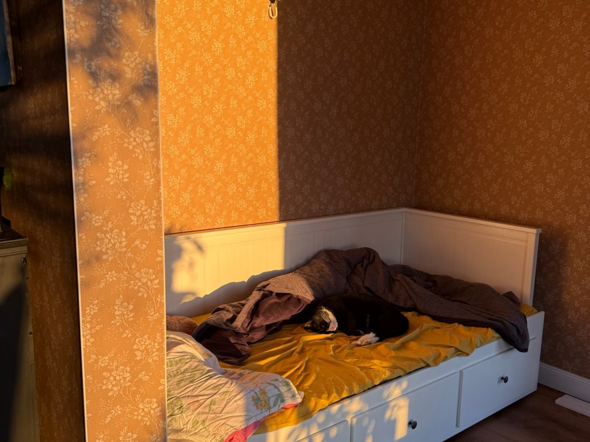 Our Holidays, Apparently, Are for Building&nbsp;IKEA