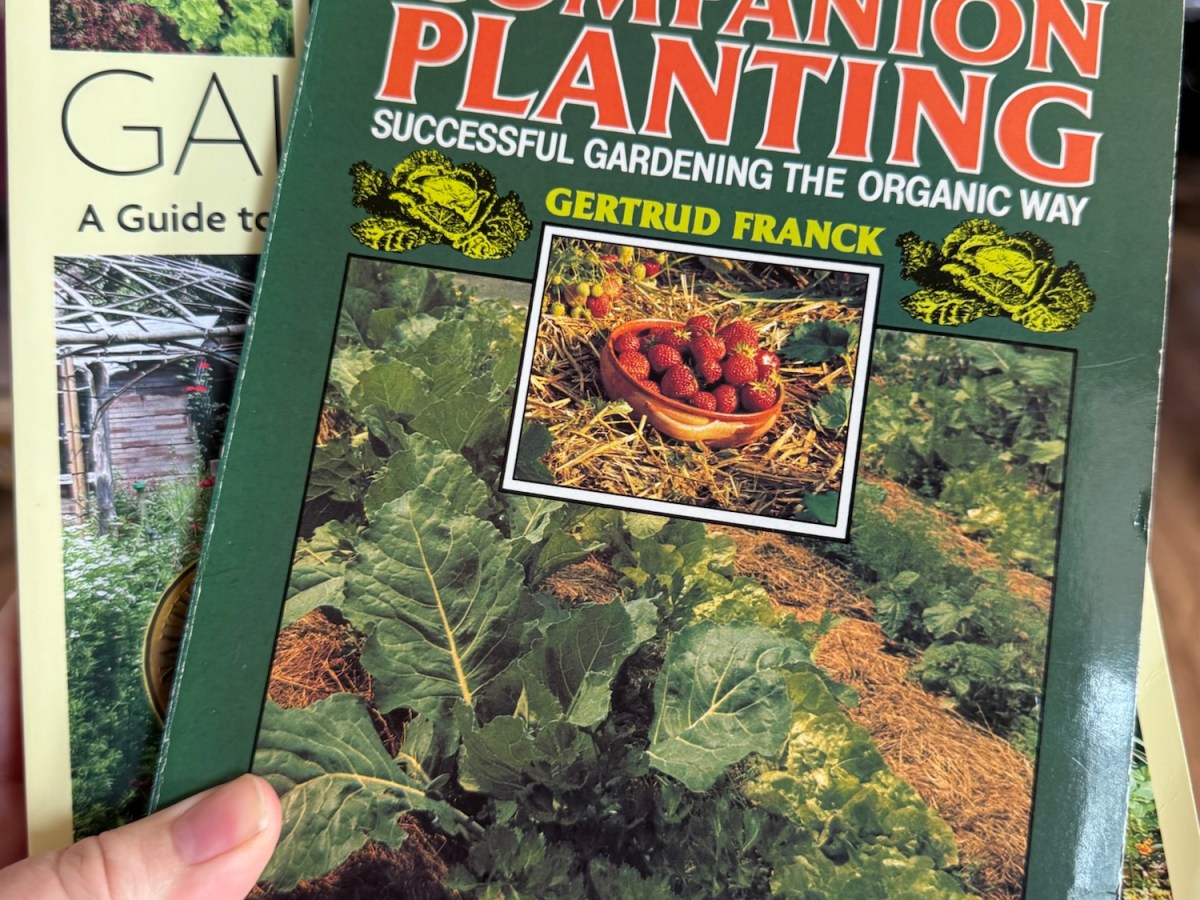 Old Books, Real&nbsp;Knowledge