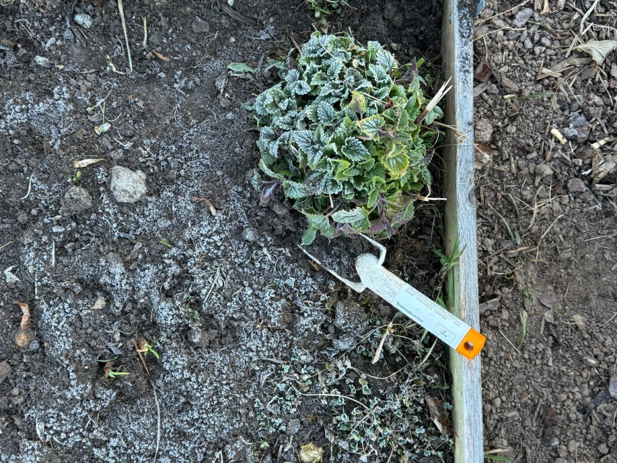 Not Ready for the Next&nbsp;Weekend